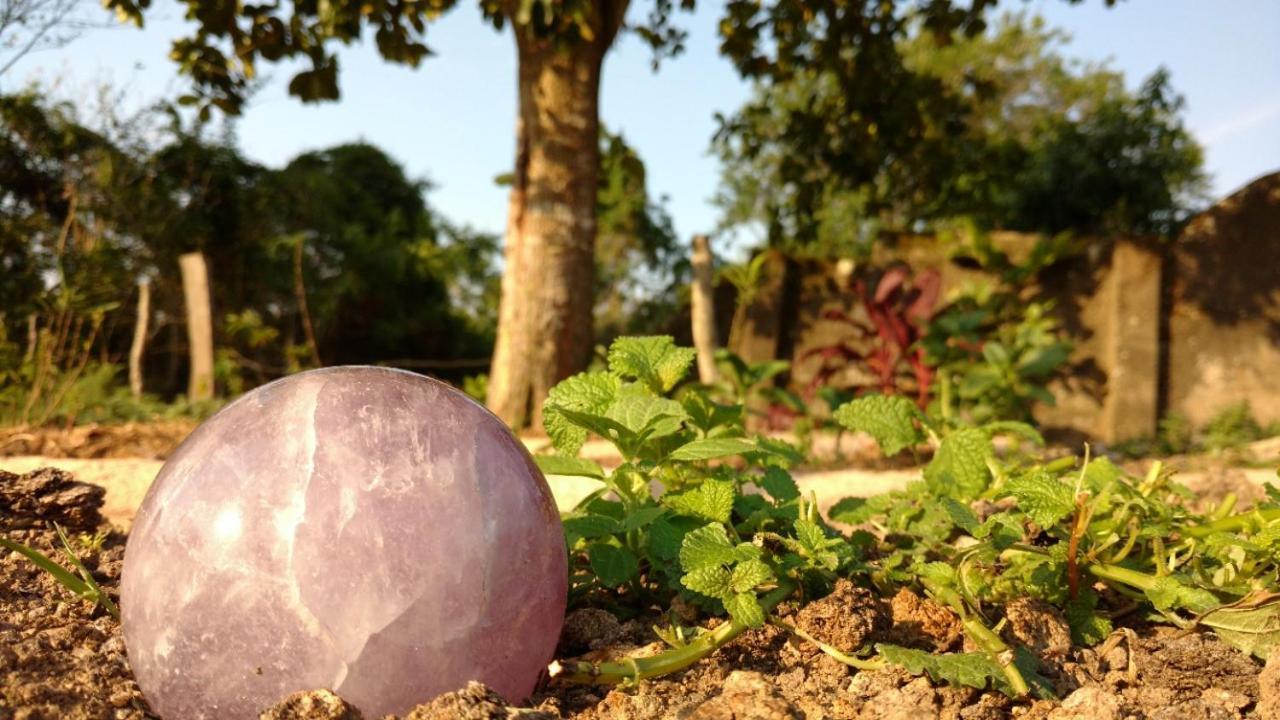 Fazenda Da Luz Villa Vassouras Esterno foto